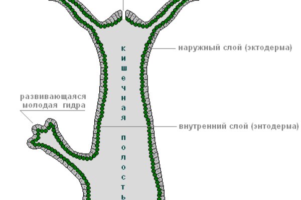 Как открыть кракен