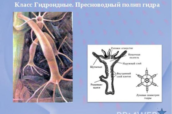 Как пополнить баланс кракен