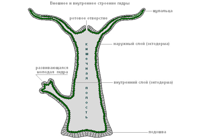 Кракен маркет плейс